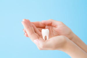 Close-up of hand holding a lost tooth